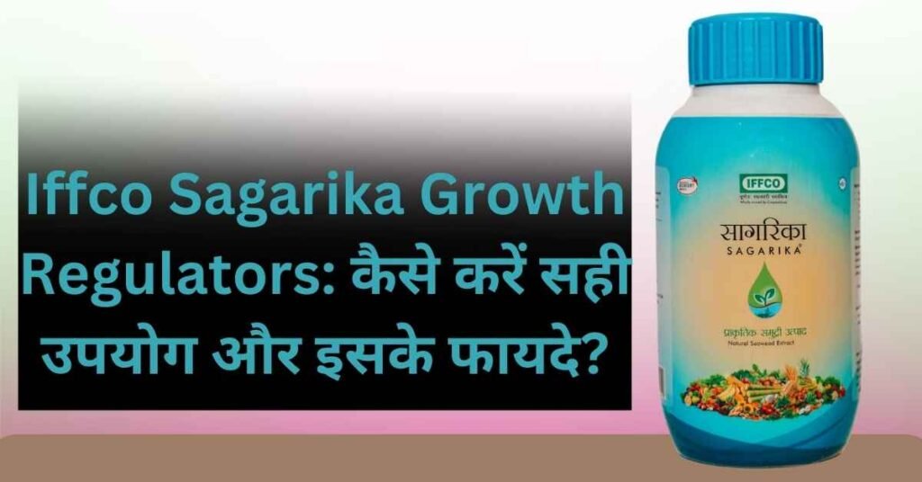 Iffco Sagarika Growth Regulators: कैसे करें सही उपयोग और इसके फायदे?